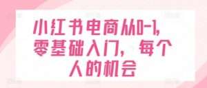 小红书电商从0-1,零基础入门,每个人的机会-聚富社