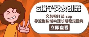 某收费888-S搭子交友引流,交友粉打法 sop,导流到私域实现长期稳定盈利-聚富社