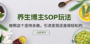 养生博主SOP玩法,按照这个坚持去做,引流变现还是很轻松的-聚富社