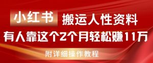 小红书搬运人性资料,有人靠这个2个月轻松赚11w,附教程【揭秘】-聚富社
