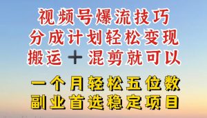 视频号爆流技巧,分成计划轻松变现,搬运 +混剪就可以,一个月轻松五位数稳定项目【揭秘】-聚富社