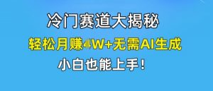 冷门赛道大揭秘,轻松月赚1W+无需AI生成,小白也能上手【揭秘】-聚富社