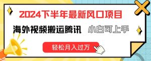 2024下半年最新风口项自,海外视频搬运腾讯,小白可上手,轻松月入过万【揭秘】-聚富社