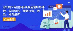 2024年7月拼多多实战运营现场课程,实时玩法,爆款打造,选品、规则解析-聚富社