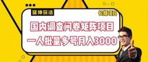 国内调查问卷矩阵项目,一人批量多号月入3000【揭秘】-聚富社