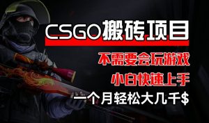 CSGO 装备搬砖项目，操作简单，不需要会玩游戏，小白也能快速上手，一个月轻松大几千【揭秘】-聚富社