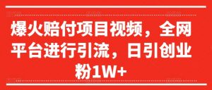 爆火赔付项目视频,全网平台进行引流,日引创业粉1W+【揭秘】-聚富社
