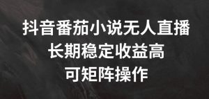 抖音番茄小说无人直播,长期稳定收益高,可矩阵操作【揭秘】-聚富社
