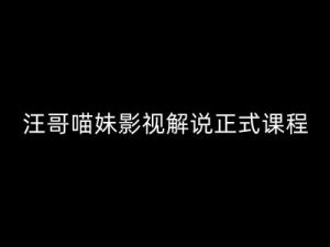 汪哥影视解说正式课程:剪映/PR教学/视解说剪辑5大黄金法则/全流程剪辑7把利器等等-聚富社