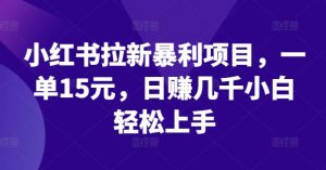 小红书拉新暴利项目,一单15元,日赚几千小白轻松上手【揭秘】-聚富社