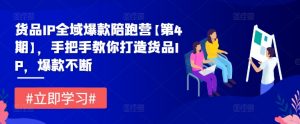 货品IP全域爆款陪跑营【第4期】,手把手教你打造货品IP,爆款不断-聚富社