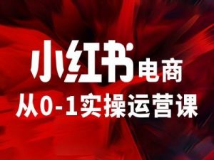 小红书电商从0-1实操运营课,让你从小白到精英-聚富社