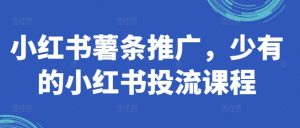 小红书薯条推广,少有的小红书投流课程-聚富社