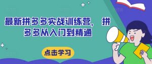 最新拼多多实战训练营, 拼多多从入门到精通-聚富社