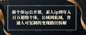 新个体ip公开课,素人ip到年入百万超级个体,公域到私域,普通人可复制的变现路径拆解-聚富社