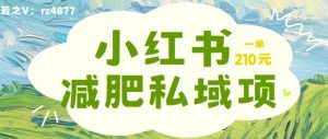 小红书减肥粉,私域变现项目,一单就达210元,小白也能轻松上手【揭秘】-聚富社