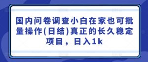 国内问卷调查小白在家也可批量操作(日结)真正的长久稳定项目,日入1k【揭秘】-聚富社