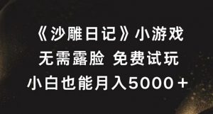 《沙雕日记》小游戏,无需露脸免费试玩,小白也能月入5000+【揭秘】-聚富社