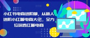 小红书电商进阶版,从新人进阶小红薯电商大佬,全方位玩透红薯电商-聚富社