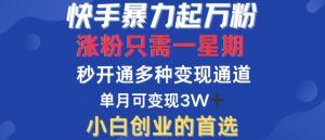 快手暴力起万粉,涨粉只需一星期,多种变现模式,直接秒开万合,单月变现过W【揭秘】-聚富社