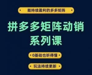 拼多多矩阵动销系列课,能持续盈利的多多矩阵,0基础也听得懂,玩法持续更新-聚富社