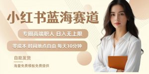小红书蓝海赛道,圈中高端职场人,月入无上限,可矩阵,内含私域实操教程!-聚富社