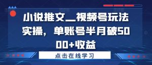 小说推文—视频号玩法实操,单账号半月破5000+收益-聚富社