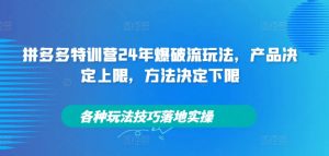 拼多多特训营24年爆破流玩法,产品决定上限,方法决定下限,各种玩法技巧落地实操-聚富社