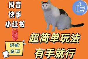 超简单玩法,有手就行,靠猫咪视频日入500+【揭秘】-聚富社