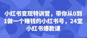小红书变现特训营,带你从0到1做一个赚钱的小红书号,24堂小红书爆款课-聚富社
