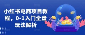 小红书电商项目教程,0-1入门全盘玩法解析-聚富社