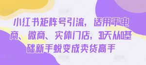 小红书矩阵号引流,适用于电商、微商、实体门店,30天从0基础新手蜕变成卖货高手-聚富社