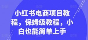 小红书电商项目教程,保姆级教程,小白也能简单上手-聚富社
