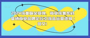 2024流量吸金变现,商业流量密码营销商业品牌定位引流品运营逻辑(图文)-聚富社