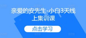 亲爱的安先生-小白3天线上集训课-聚富社