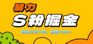 单人单机日引千粉,变现1k+,S粉流量掘金计划攻略【揭秘】-聚富社