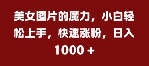 美女图片的魔力,小白轻松上手,快速涨粉,日入几张【揭秘】-聚富社