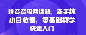 拼多多电商课程,新手纯小白必看,零基础教学快速入门-聚富社