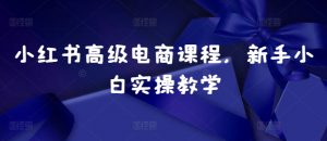 小红书高级电商课程,新手小白实操教学-聚富社