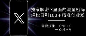 独家解密 X 里面的流量密码,复制粘贴轻松日引100+-聚富社