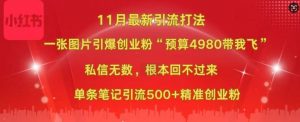 小红书11月最新图片打粉,一张图片引爆创业粉,“预算4980带我飞”,单条引流500+精准创业粉-聚富社