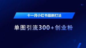 十一月小红书最新打法,单图引流300+创业粉【揭秘】-聚富社