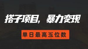 2024搭子玩法,0门槛,暴力变现,单日最高破四位数【揭秘】-聚富社