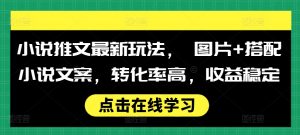 小说推文最新玩法, 图片+搭配小说文案,转化率高,收益稳定-聚富社