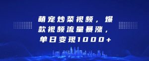 萌宠炒菜视频,爆款视频流量暴涨,单日变现1k-聚富社