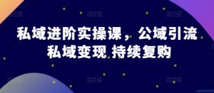 私域进阶实操课,公域引流 私域变现 持续复购-聚富社