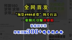小红书“预算4980带我飞”图片打法,一张图片引爆创业粉,私信回不完,单条引流300+精准创业粉-聚富社