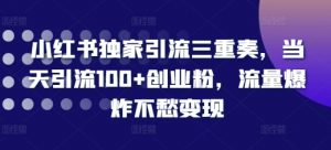 小红书独家引流三重奏,当天引流100+创业粉,流量爆炸不愁变现【揭秘】-聚富社