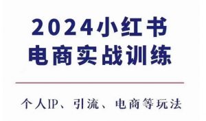 2024小红书电商3.0实战训练,包含个人IP、引流、电商等玩法-聚富社