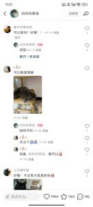 小红书私人定制图项目,附赠一单4W渠道【揭秘】-聚富社